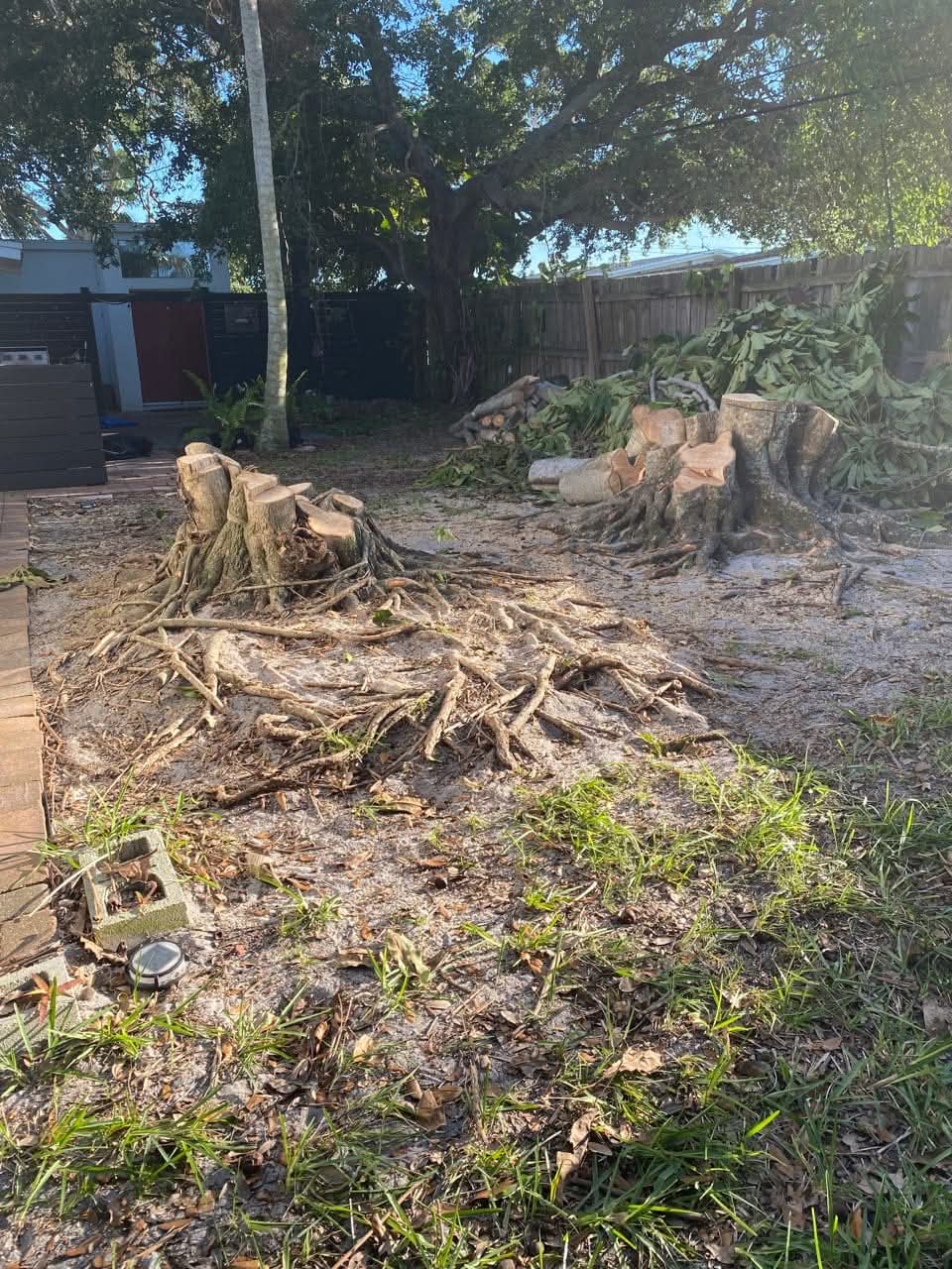 Stump grinding before