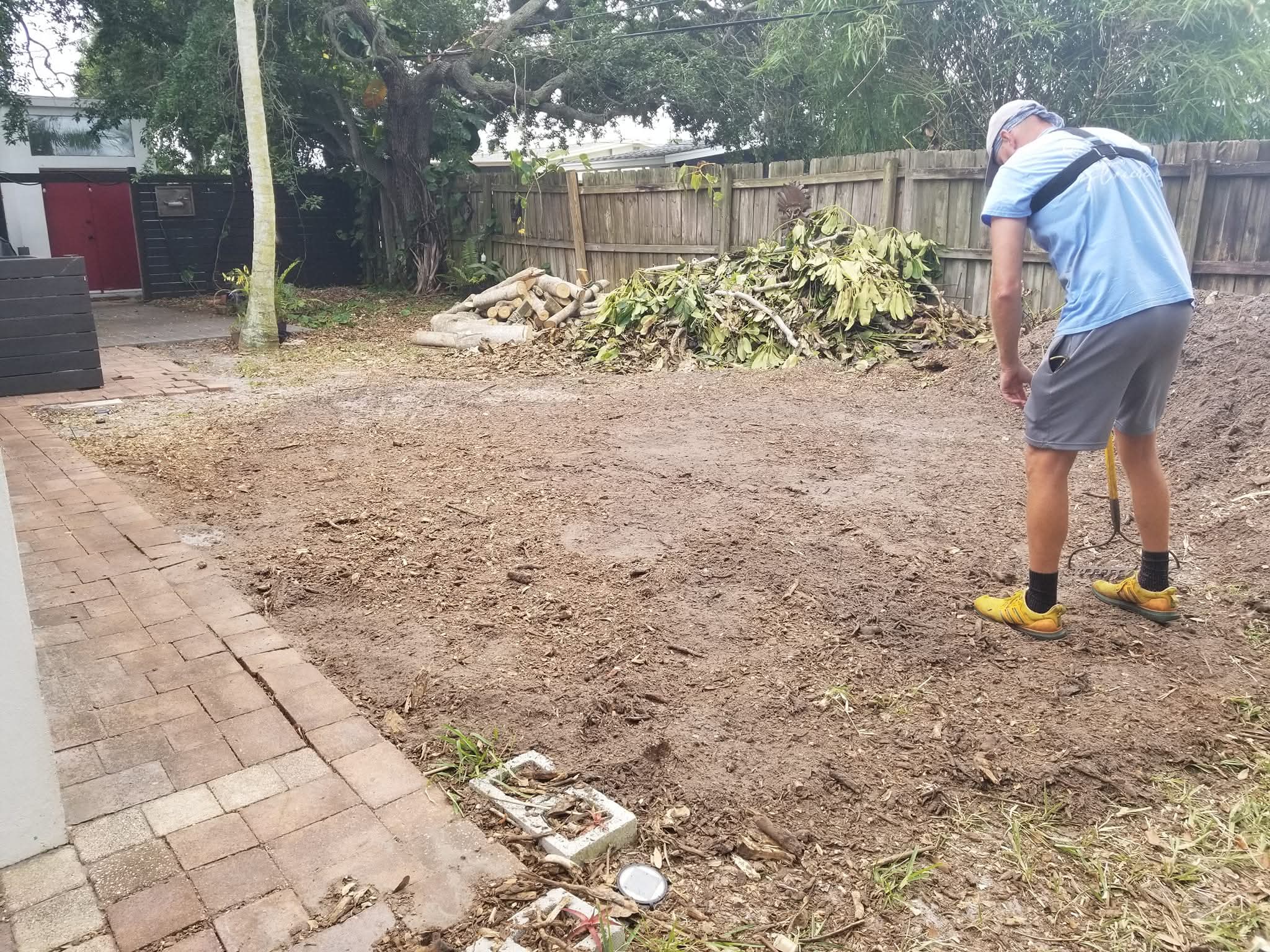 Stump grinding after