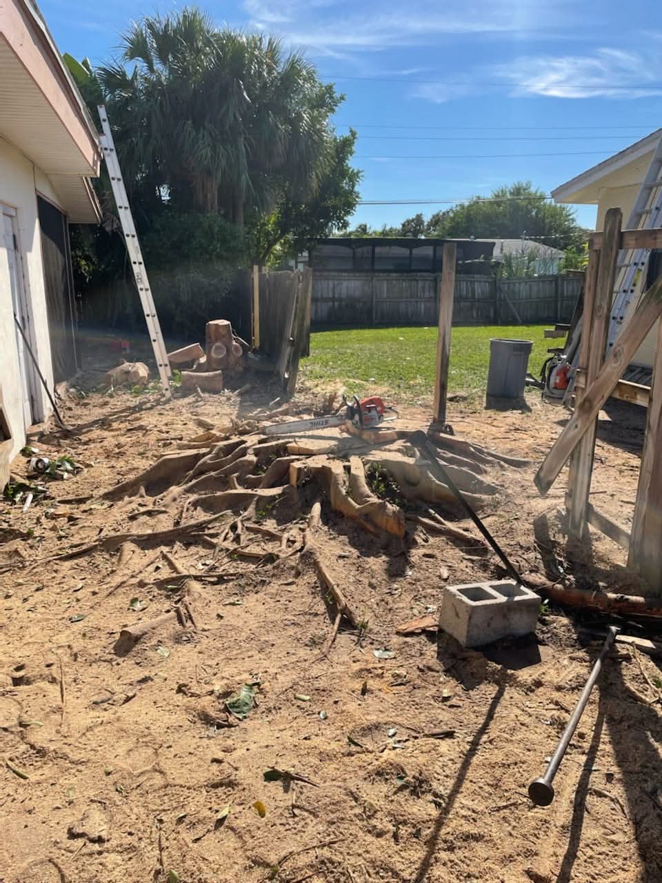 Stump grinding before